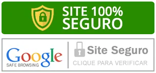 Site seguro google.webp